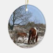Décoration En Céramique Cheval de mère et de bébé à Assateague (Gauche)