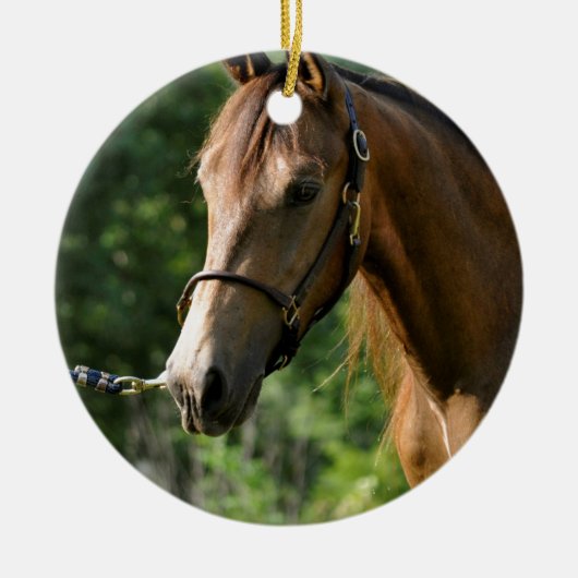 Décoration En Céramique Cheval de Morgan de peau de daim (Devant)