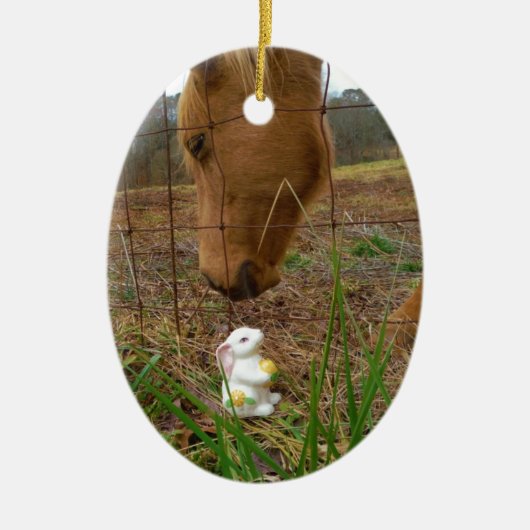 Décoration En Céramique cheval et fleur de printemps Bunny (Devant)