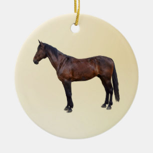 Décoration En Céramique Cheval Morgan de Profil