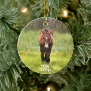 Décoration En Céramique Cheval sauvage de l'Assateague Ornament en céramiq