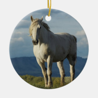 Décoration En Céramique Chevalier des rêves