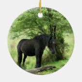 DÉCORATION EN CÉRAMIQUE CHEVAUX (Dos)