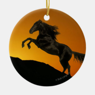 Décoration En Céramique Chevaux d'imaginaire : Coucher du soleil de