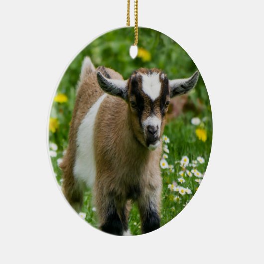 Décoration En Céramique Chèvre naine douce Enfant en fleurs (Droite)