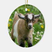 Décoration En Céramique Chèvre naine douce Enfant en fleurs (Gauche)