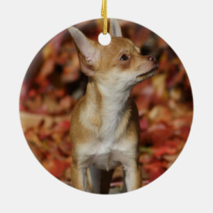 Décoration En Céramique Chien chihuahua marron