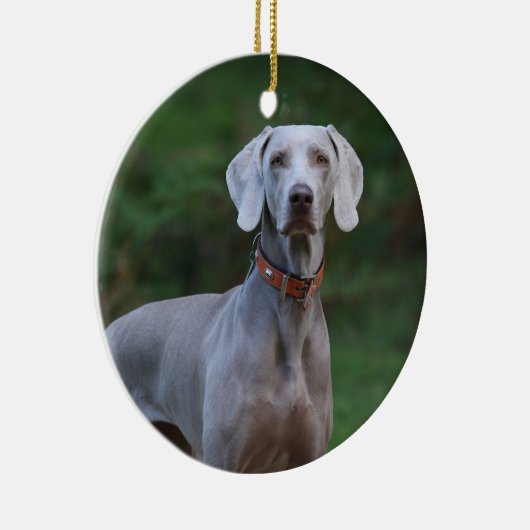 Décoration En Céramique Chien chiot Weimaraner (Droite)