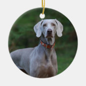 Décoration En Céramique Chien chiot Weimaraner (Devant)