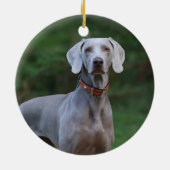 Décoration En Céramique Chien chiot Weimaraner (Dos)