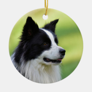 Décoration En Céramique Chien de berger border collie noir et blanc