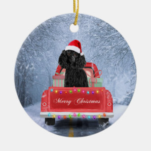 Décoration En Céramique Chien de caniche en neige assis dans un camion de 