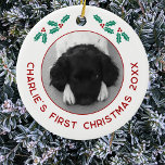 Décoration En Céramique Chien de Chien de Chien de Chien de Chien de Chien<br><div class="desc">Célébrez le premier Noël de votre chiot avec ce charmant ornement photo personnalisé. Ajoutez votre propre photo et changez n'importe quel texte pour customiser. Avec de jolis sprigs sacrés et un texte moderne en rouge festif, il présente magnifiquement votre photo préférée de votre chiot ou chien, ce qui en fait...</div>