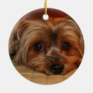 Décoration En Céramique Chien de Yorkshire mignon Terrier Yorkie
