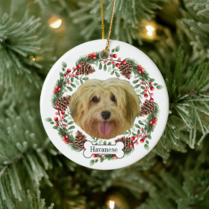 Décoration En Céramique chien havanais personnalisation de l'ornement anim