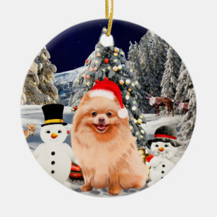 Décoration En Céramique Chien Poméranien Assis Sur Les Lumières Du Chapeau