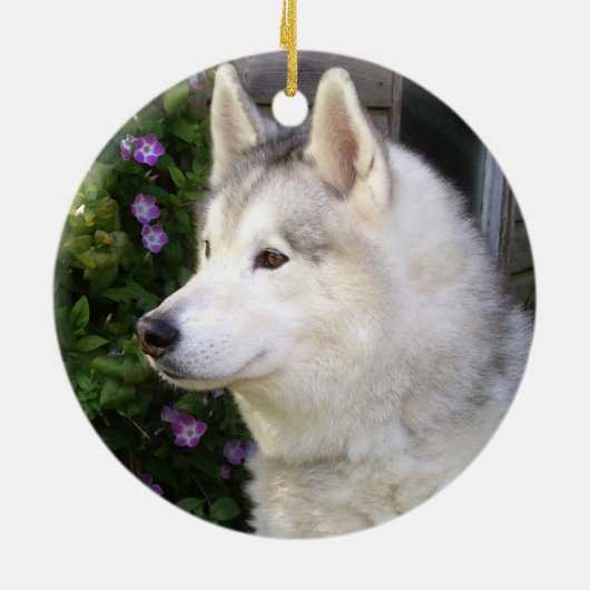 Décoration En Céramique Chien roux roux roux sibérien (Dos)