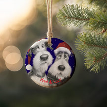 Chiens de Père Noël amusants