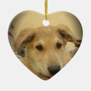 Décoration En Céramique Chiens et chiots mignons, le deuxième meilleur ami