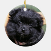 Décoration En Céramique Chiot noir de Pomeranian (Dos)