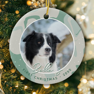 Décoration En Céramique Chiot première frontière de Noël Collie Chien phot