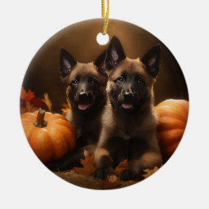 Décoration En Céramique Chiots Berger Belge Délice d'Automne Citrouille