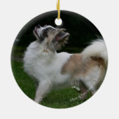 Décoration En Céramique Chiwawa aux cheveux longs regardant (Dos)