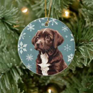 Décoration En Céramique Chocolat Brown Lab Ornament