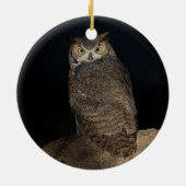 Décoration En Céramique Chouette à cornes jardins (Dos)