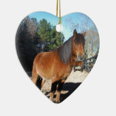 Décoration En Céramique Ciel turquoise de poney Brown (Droite)