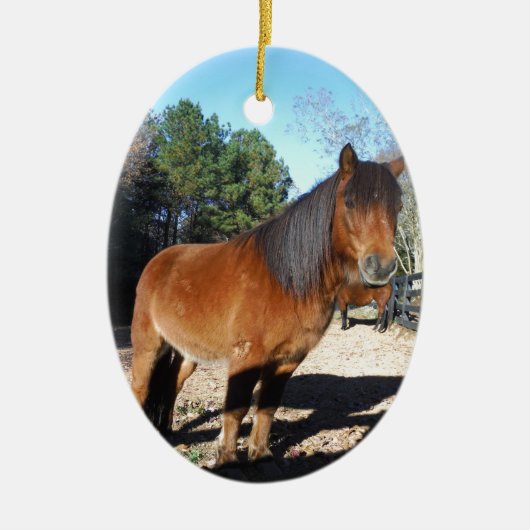 Décoration En Céramique Ciel turquoise de poney Brown (Devant)