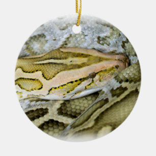 Décoration En Céramique Closeup de python indien