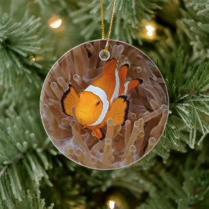 Décoration En Céramique Clownfish - Molokai