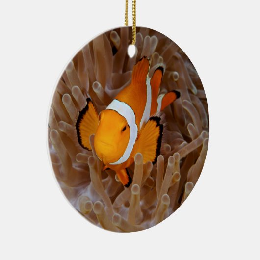 Décoration En Céramique Clownfish - Molokai (Droite)