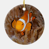 Décoration En Céramique Clownfish - Molokai (Dos)