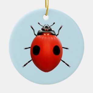 Décoration En Céramique Coccinelle Chanceuse