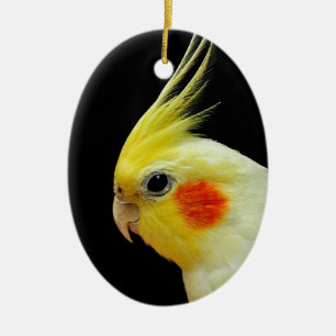 Décoration En Céramique Cockatiel de Lutino