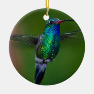 Décoration En Céramique Colibri de flottement