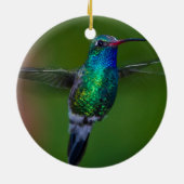 Décoration En Céramique Colibri de flottement (Dos)