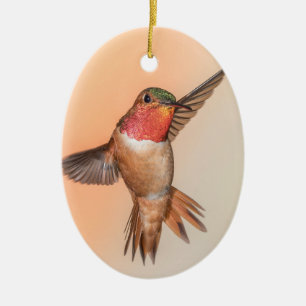 Décoration En Céramique Colibri roux en vol Nom du monogramme
