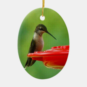 Décoration En Céramique Colibri Rubis-Throated