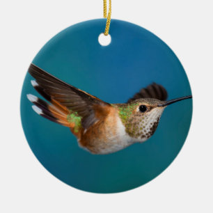 Décoration En Céramique Colibri Rufous