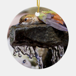 Décoration En Céramique Colibri s'étendant dans l'eau