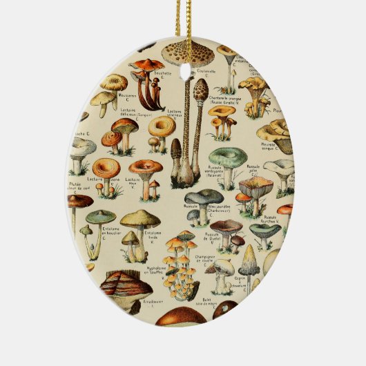 Décoration En Céramique Collection de champignons (Droite)