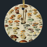 Décoration En Céramique Collection de champignons<br><div class="desc">S'il vous plaît visitez mon magasin pour un design plus intéressant et plus de choix de couleurs. => zazzle.com/colorfulworld*</div>
