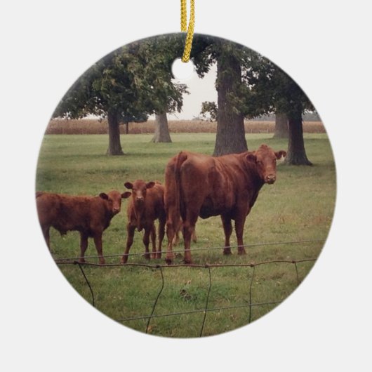 Décoration En Céramique Comment maintenant vaches Brown (Devant)