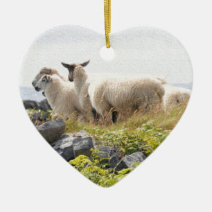 Décoration En Céramique Conceptions originales - Moutons dans un champ