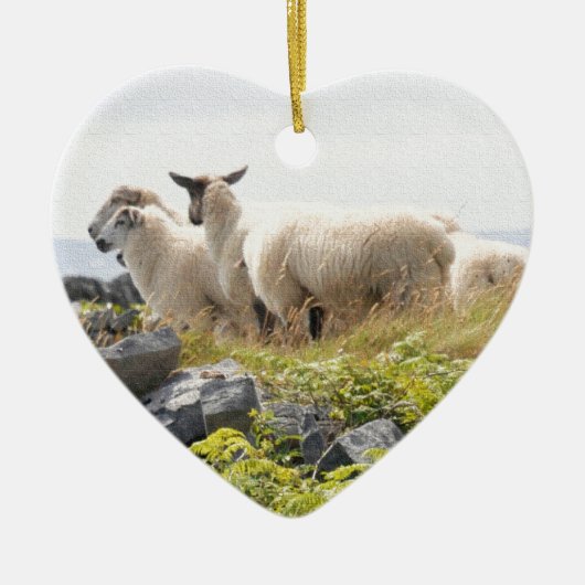 Décoration En Céramique Conceptions originales - Moutons dans un champ (Devant)