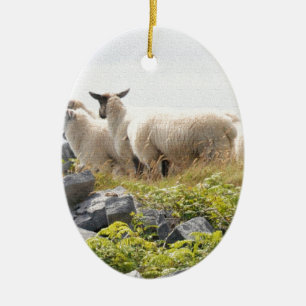 Décoration En Céramique Conceptions originales - Moutons dans un champ