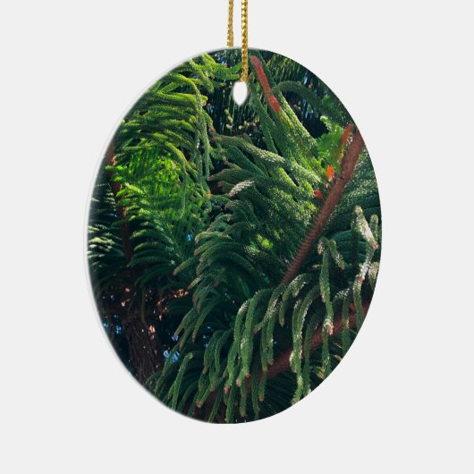 Décoration En Céramique conifère à feuillage persistant de pin (Droite)